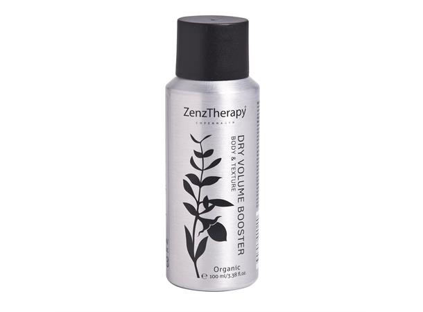 ZenzTherapy Dry Volume Booster Mini