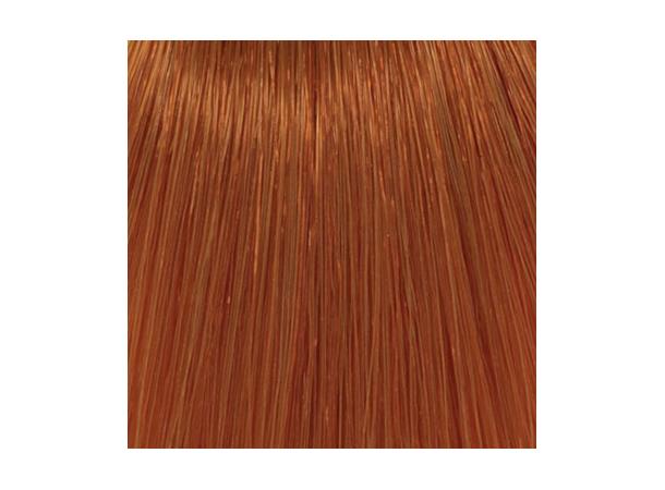 H7,44 Deep Coppery Blond Hcolor 100ml