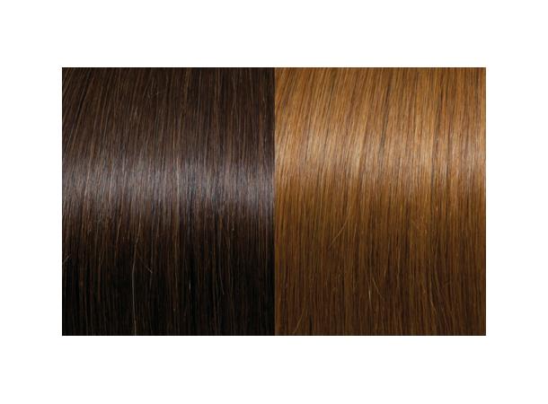 60cm 10Fester Seiseta 6/27 