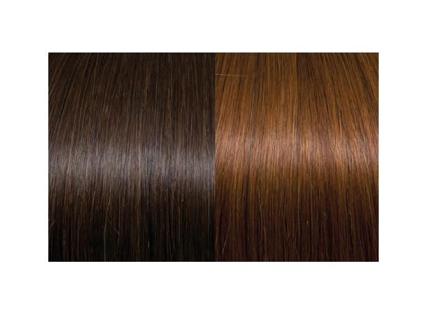 60cm 10Fester Seiseta 6/30 