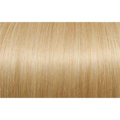 Expert 50cm 20fester Seiseta DB2