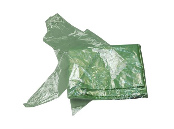 Trekanthette Grønn 