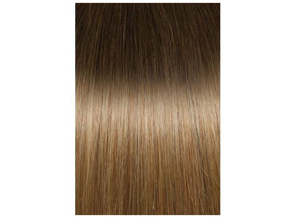 Expert 50cm 20fester Seiseta 8/DB4 Ombre/Shatush 