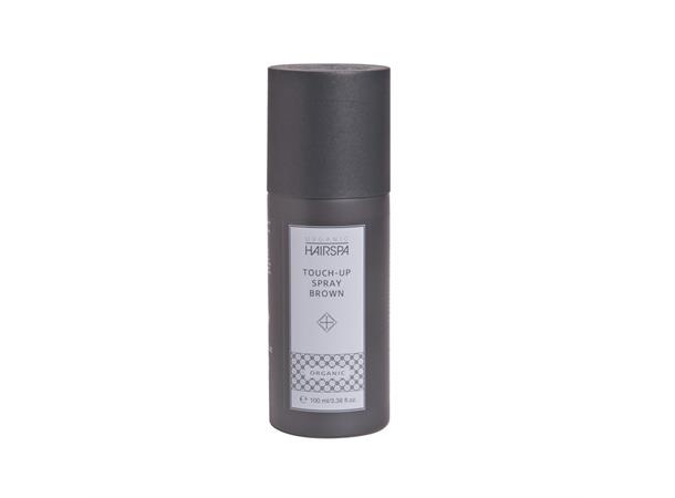 OH Reise Touch-Up Spray Brown 100ml 