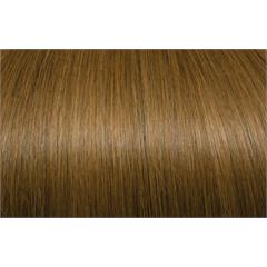 Expert 50cm 20fester Seiseta 14