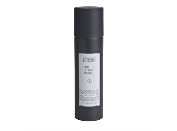 OH Touch-Up Spray Brown 250ml 