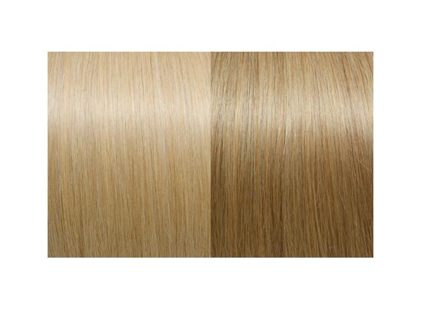 Expert 40cm 20fester Seiseta 140 