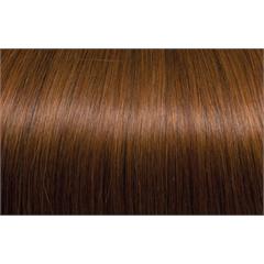 Expert 50cm 20fester Seiseta 30