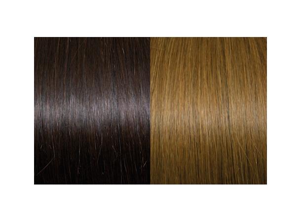 60cm 10Fester Seiseta 4/14 
