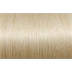 Expert 50cm 20fester Seiseta 1004