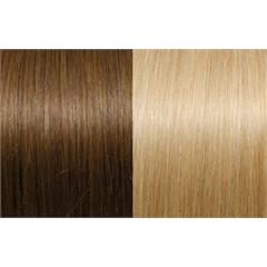 Expert 50cm 20fester Seiseta 12/DB2