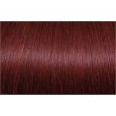 Expert 50cm 20fester Seiseta 530