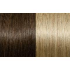 Expert 50cm 20fester Seiseta 18/24