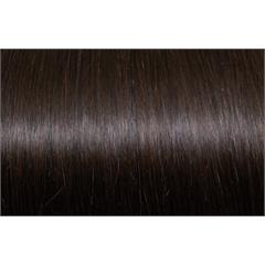 Expert 50cm 20fester Seiseta 4