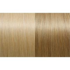 Expert 50cm 20fester Seiseta 140