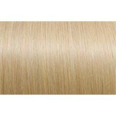 Expert 50cm 20fester Seiseta 20