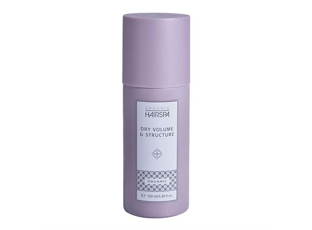 OH Reise Dry Vol & Structure 100ml 