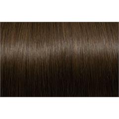 Expert 50cm 20fester Seiseta 8