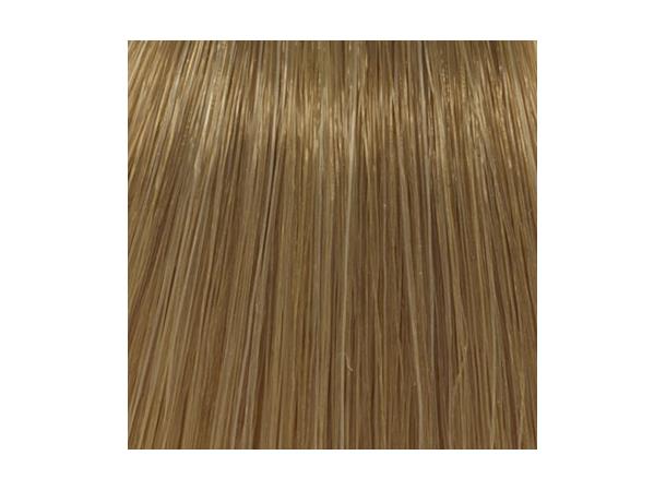 H8,1 Ash Light Blond Hcolor 100ml 