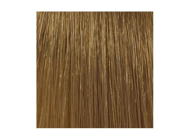 H7,3 Golden Blond Hcolor 100ml 