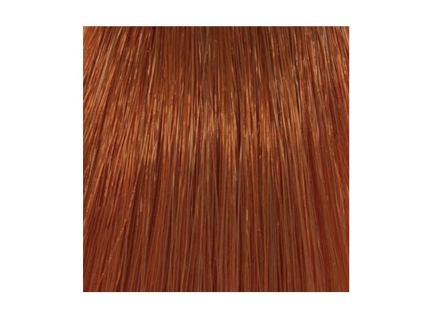 H7,43 Copper Golden Blond Hcolor 100ml