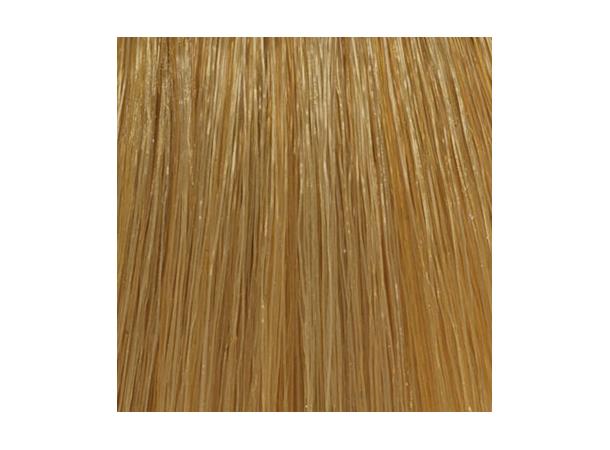 H8,3 Golden Light Blond Hcolor 100ml 