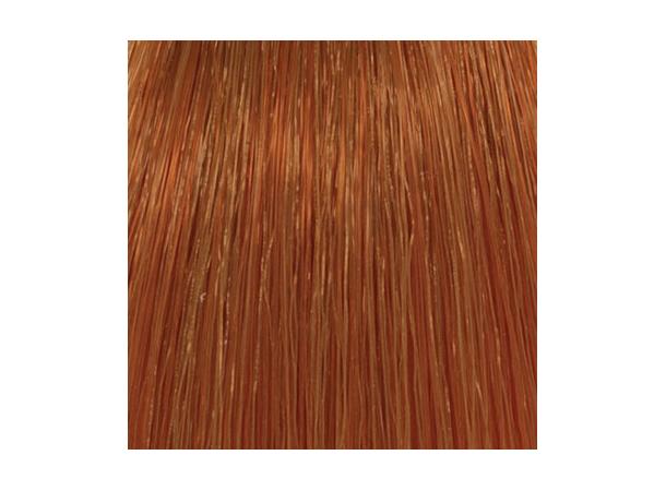 H8,43 Copper Gold. Light Hcolor 100ml 