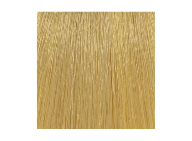 H9,3 Golden Very Light Blond Hcolor 100ml