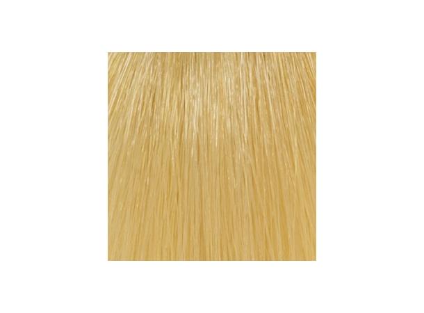 H10,3 Golden Extra Light Blond Hcolor 100ml 