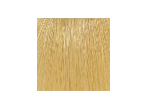 H10,3 Golden Extra Light Blond Hcolor 100ml