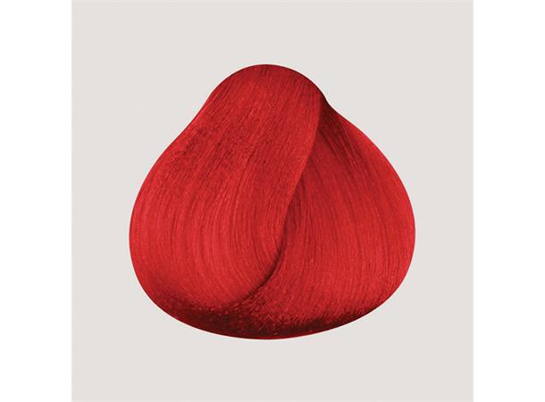 o0,55 Red O&M Cør 100ml 