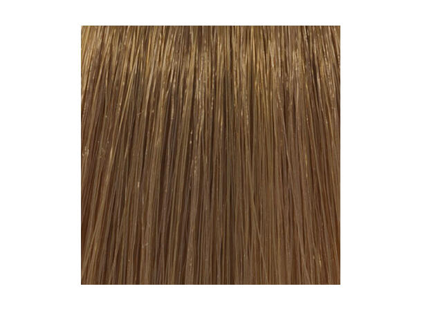 H7,31 Golden Ash Blond Hcolor 100ml 