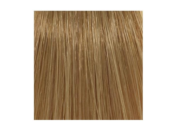 H8,31 Beige Light Blond Hcolor 100ml 