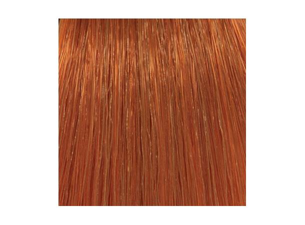 H8,44 Deep Coppery Light Blond Hcolor 100ml 