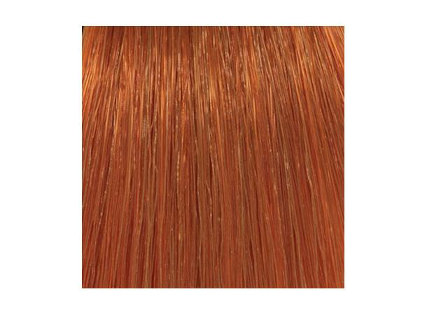 H8,44 Deep Coppery Light Blond Hcolor 100ml