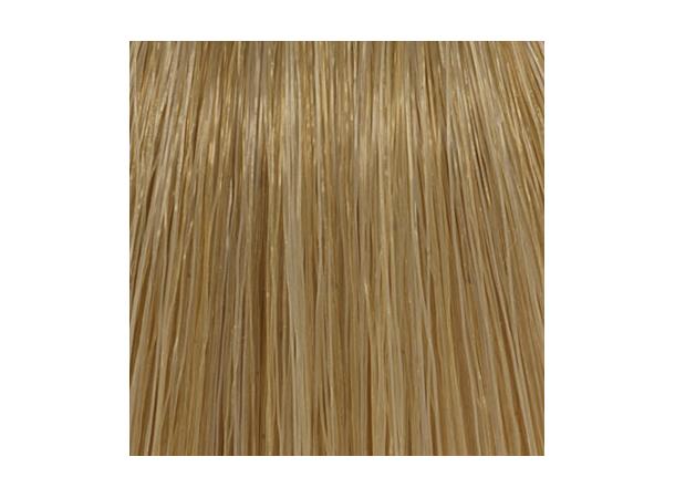 H9,31 Beige Very Light Blond Hcolor 100ml 