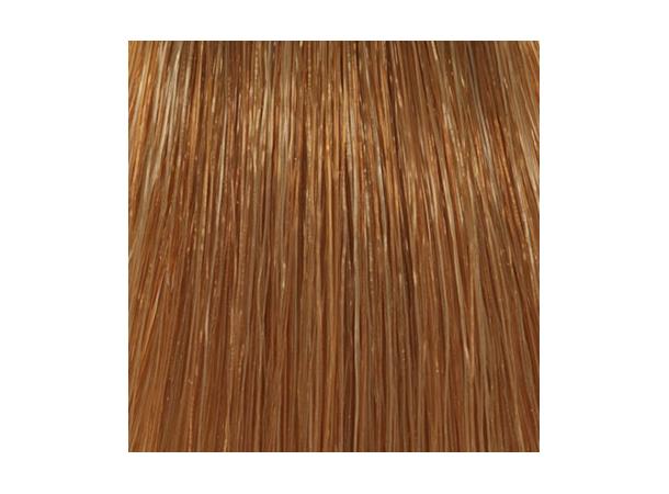 H8,34 Coppery Gold.Light Blond Hcolor 100ml