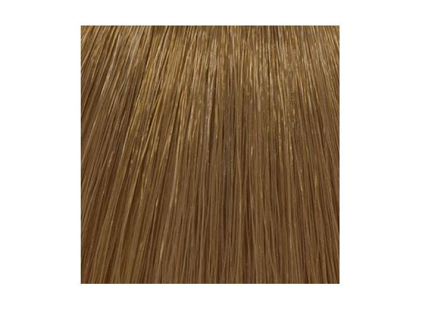 H7,32 Havana Blond Hcolor 100ml 