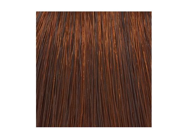 H6,4 Coppery Dark Blond Hcolor 100ml 