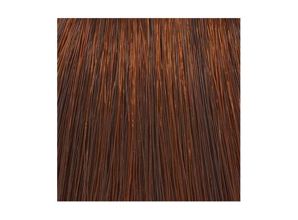 H6,4 Coppery Dark Blond Hcolor 100ml