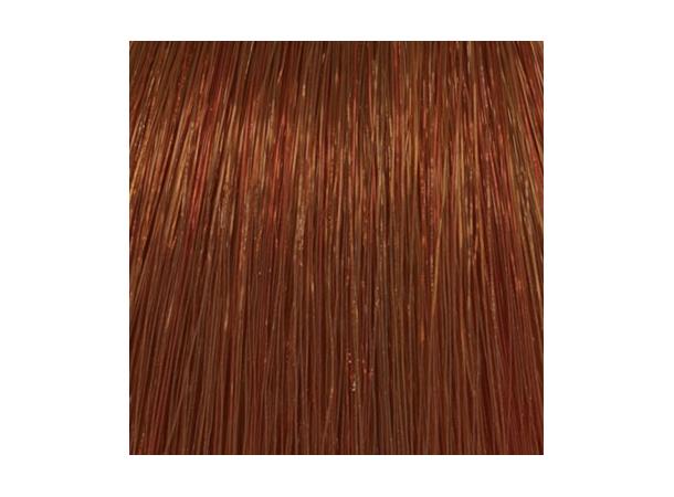 H8,4 Coppery Light Blond Hcolor 100ml 