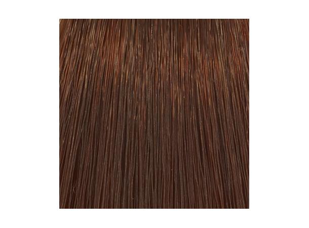 H6,5 Mahogany Dark Blond Hcolor 100ml 