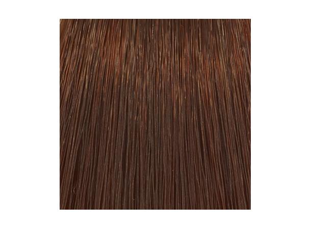 H6,5 Mahogany Dark Blond Hcolor 100ml