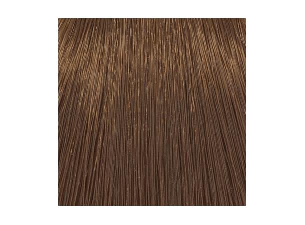 H6,03 Mocha Dark Blond Hcolor 100ml