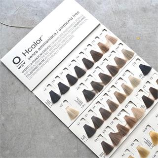 Fargekart OW HCOLOR Rolland