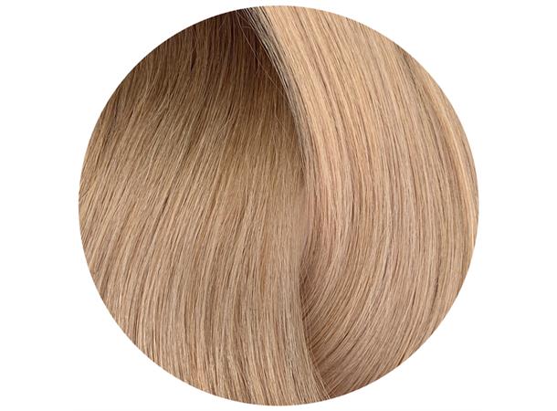 Halo Hårdel 3i1 - 50cm - 8B-11VA Ombre COOL SOFT BEIGE