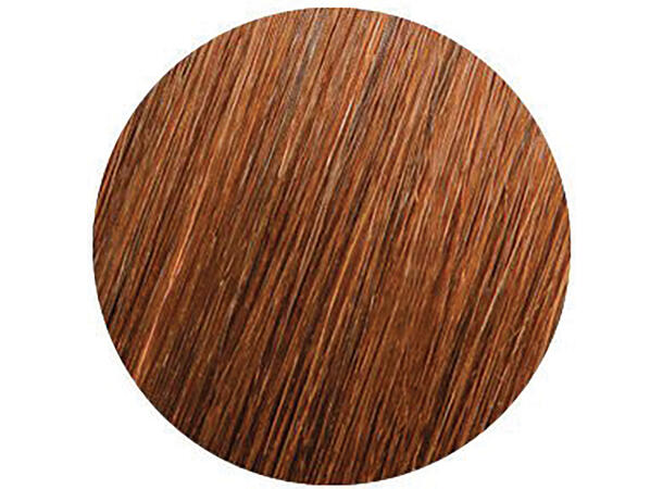 SkinWeft Tape 50cm/20" - 10pk - 6G CHESTNUT 