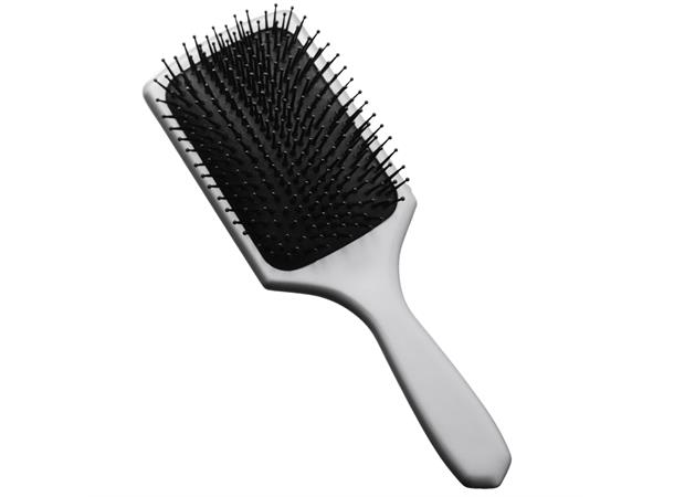 Børste Paddle Silver 