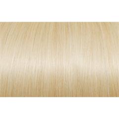 50cm 25Fester Seiseta 1001