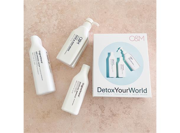 OM Gavesett Detox Your World 